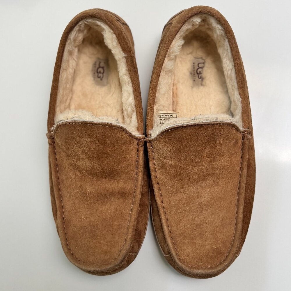 Men's UGG Ascot Slippers